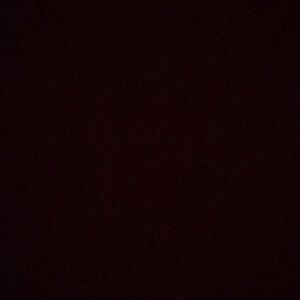 Meet your Posher, Bailey